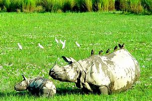 photo of Murlen National Park